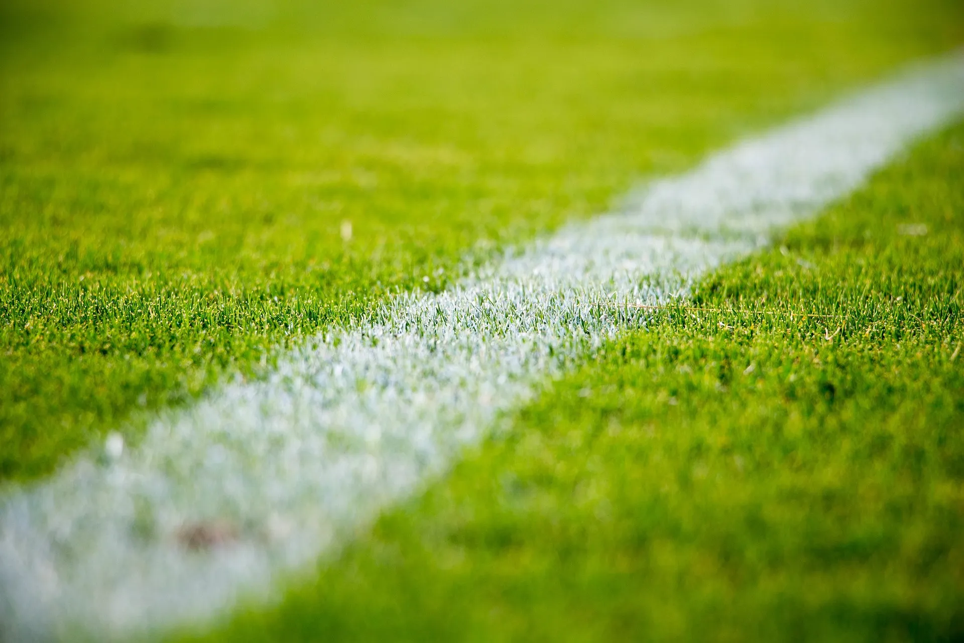 Nahaufnahme des grünen Rasens eines Fußballfeldes mit einer klaren weißen Linie, die den Spielfeldrand markiert. Die Textur des Grases und die Linie sind scharf hervorstechend.